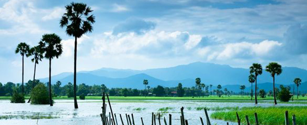 cambodia-green-countryside1